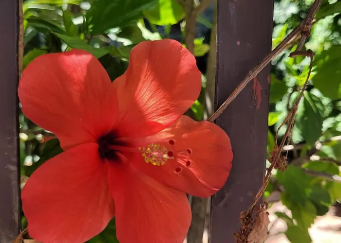 アパート Naxos House *